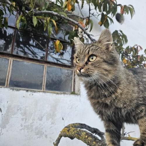 Photo #11153603