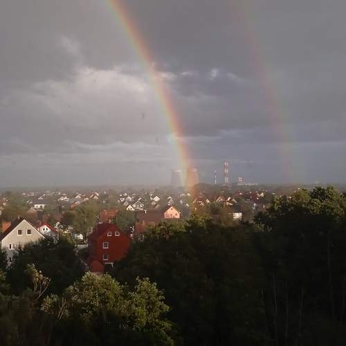 Photo #11153739