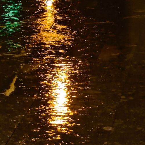 Photo #11154017