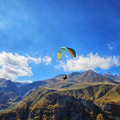 Photo #11154093