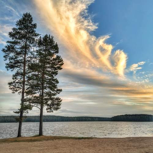 Photo #11154295