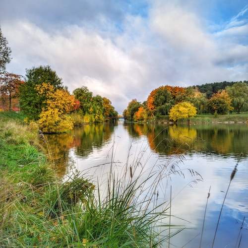Photo #11154296