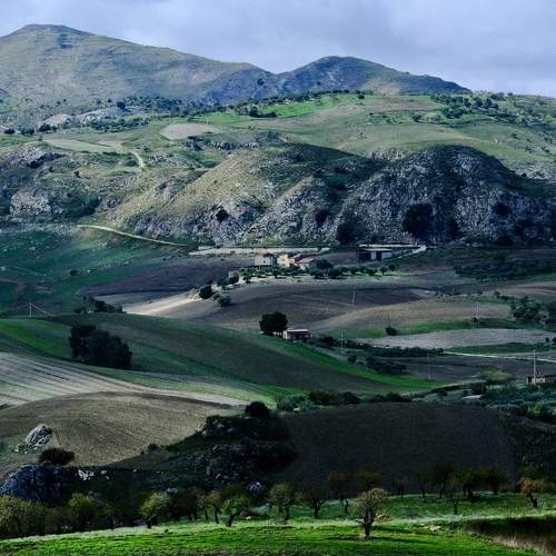 Photo #11154494