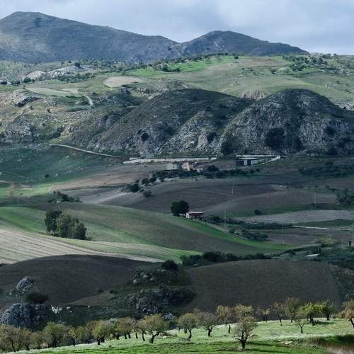 Photo #11154495