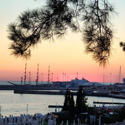 Photo #11154992