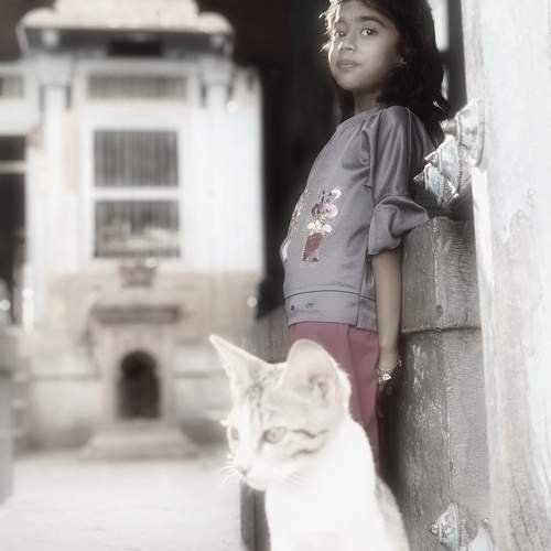 Photo #11155556