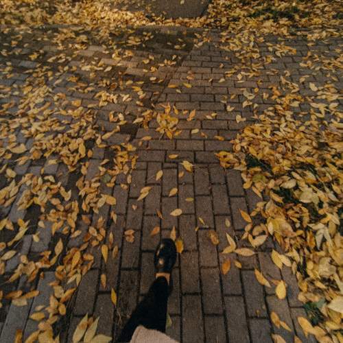 Photo #11155799
