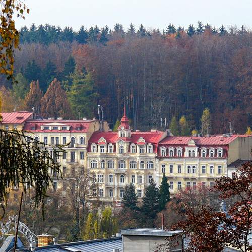 Photo #11155959