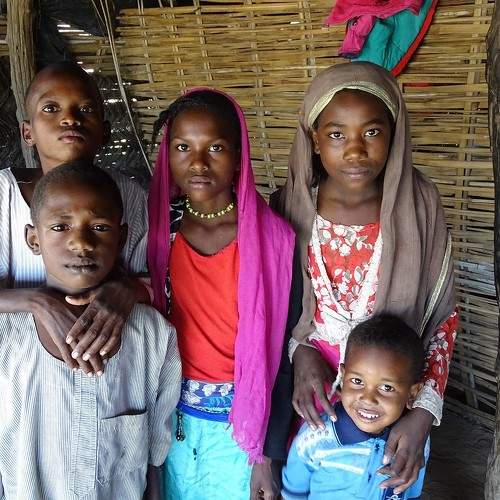 Photo #11156022