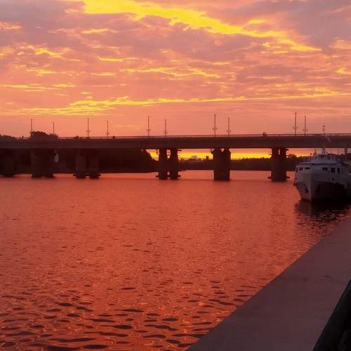 Photo #11156208
