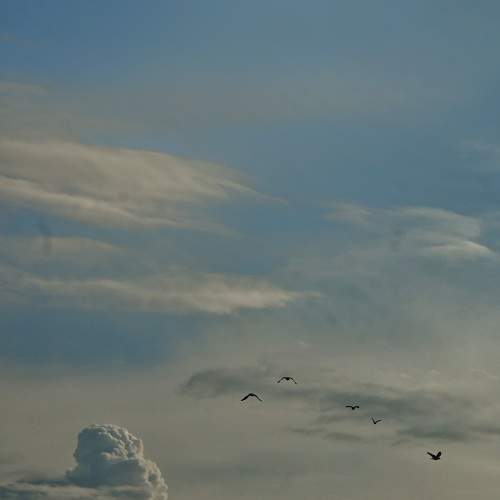 Photo #11156480