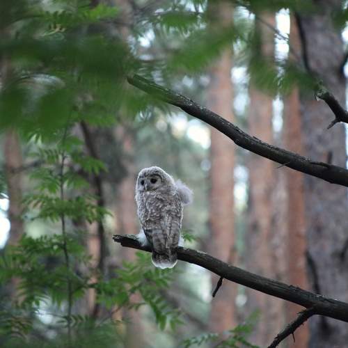 Photo #11156504