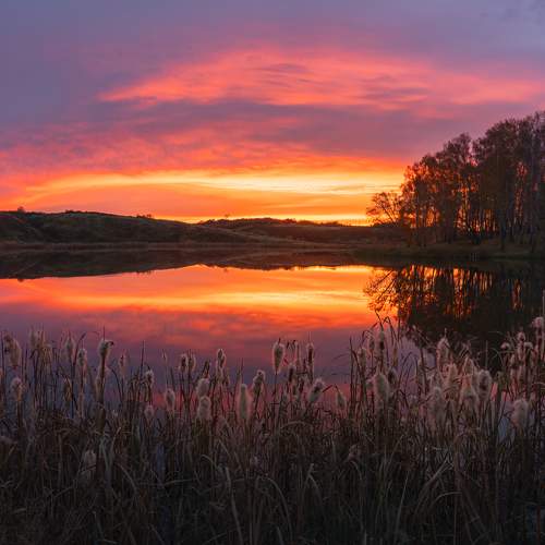 Photo #11156684