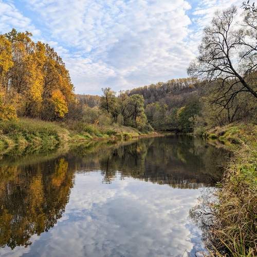 Photo #11156819