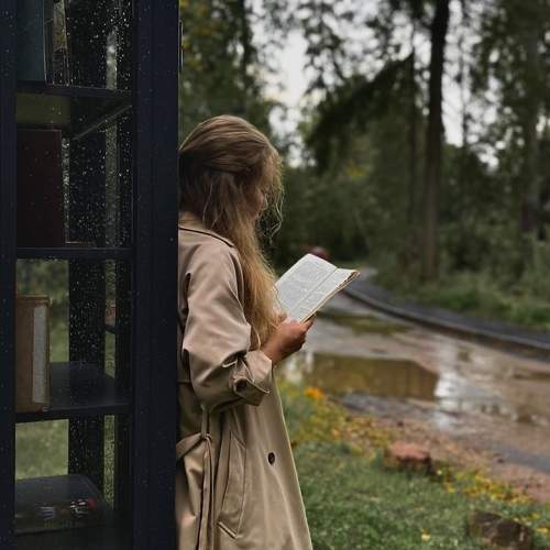 Photo #11157163