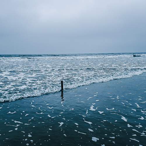 Tranquil Tides