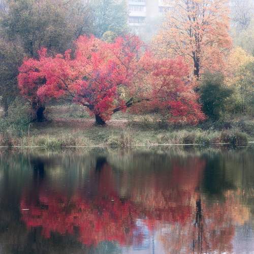 Photo #11157239