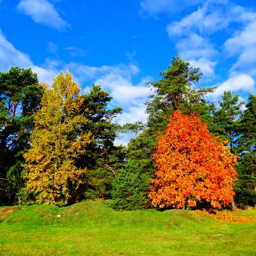 Photo #11157318