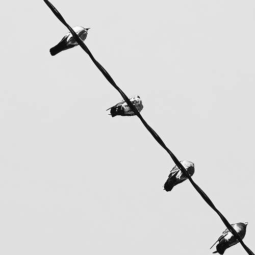 Photo #11157434