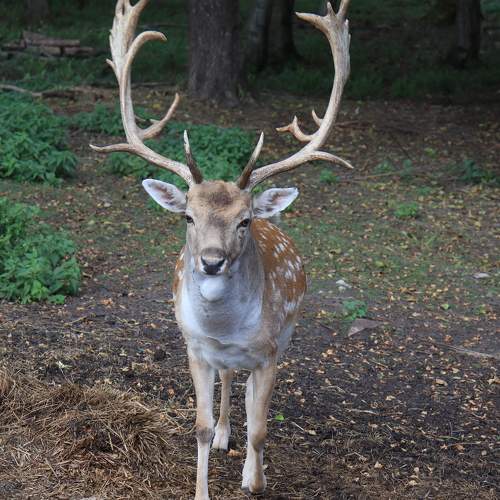 Photo #11157642