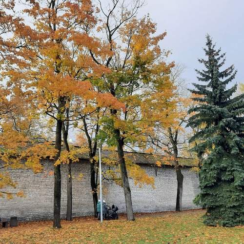 Photo #11157728