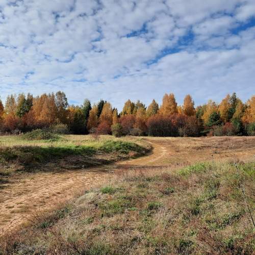 Photo #11157729