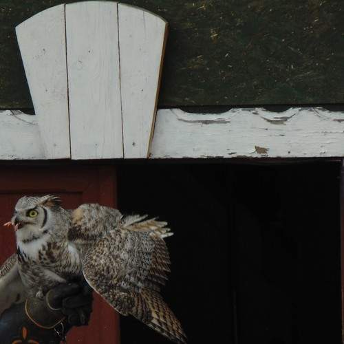 Photo #11157758