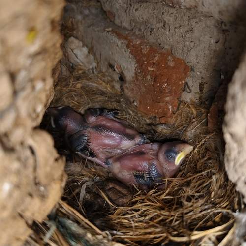 Photo #11158257