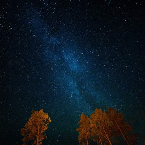Photo #11158322