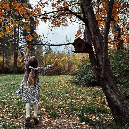 Photo #11158353