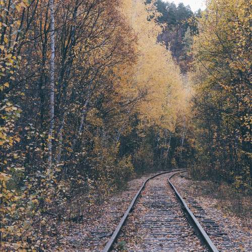 Photo #11158560