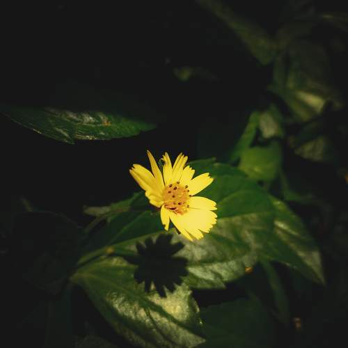 Photo #11159275