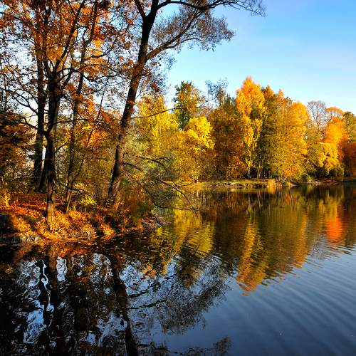 Golden autumn