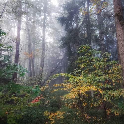 Photo #11159507