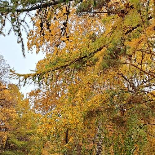 Photo #11159606