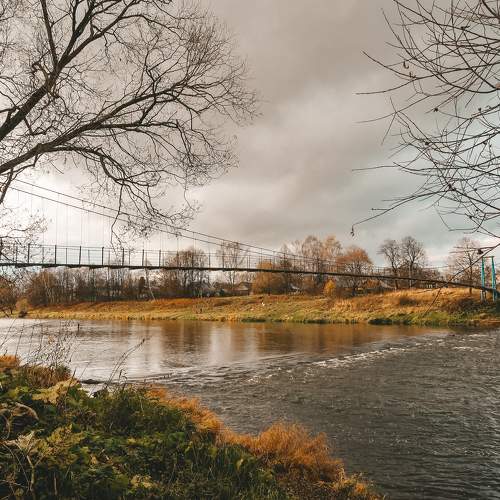 Photo #11159893