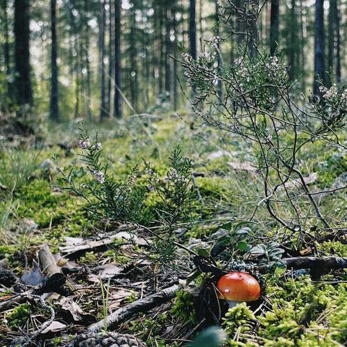 Photo #11159923