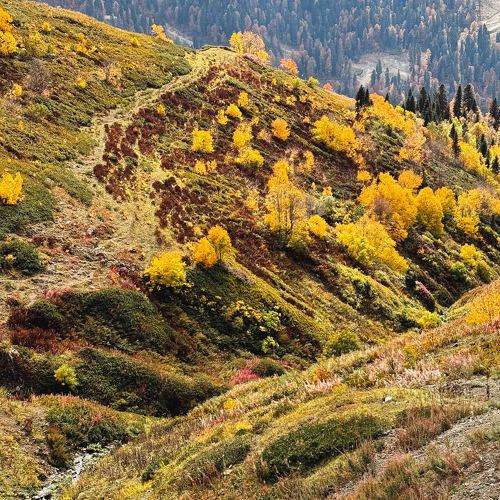 Photo #11159974