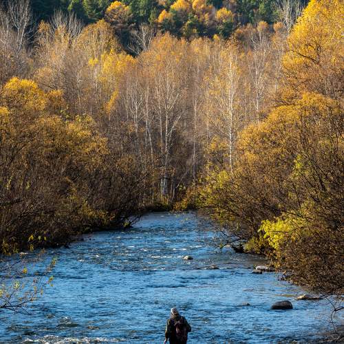 Photo #11159980