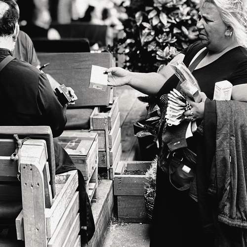 Photo #11159994