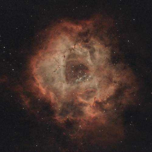 The Rosette Nebula