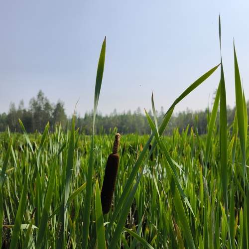 Photo #11160644