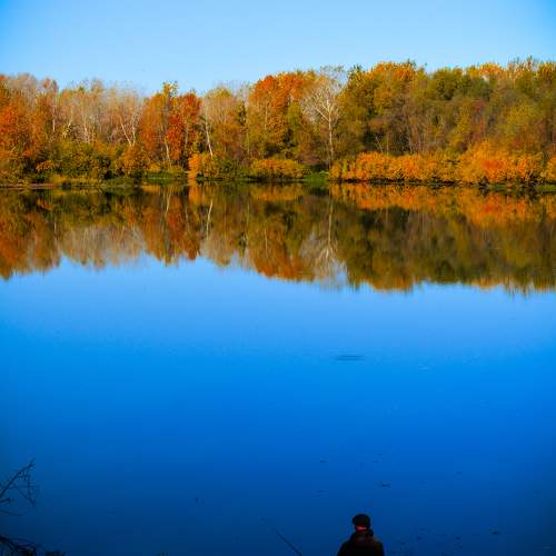 Photo #11160689