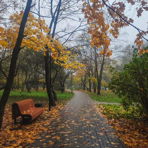 Photo #11160912