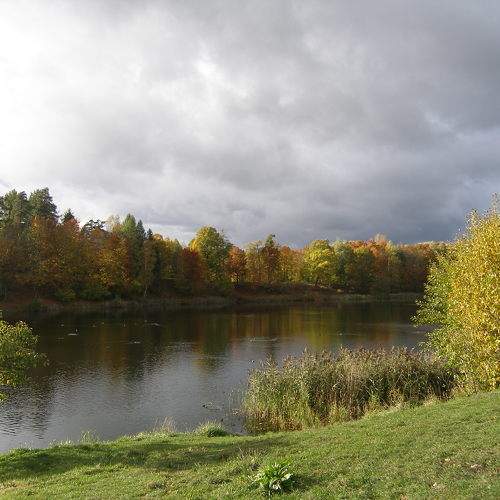 Photo #11160914