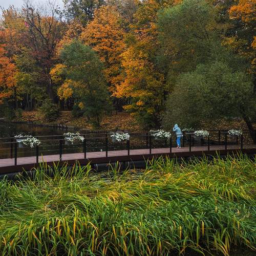 Photo #11160918