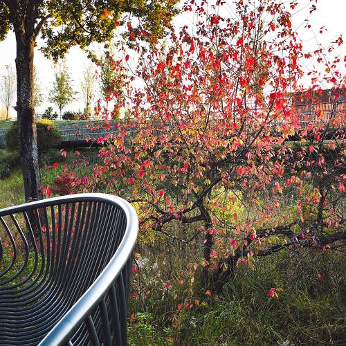 Photo #11160926