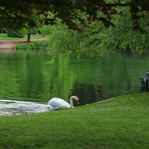 Photo #11161083