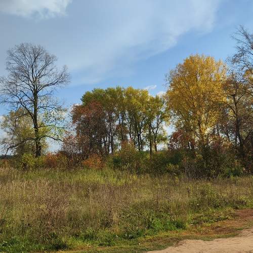 Photo #11161103