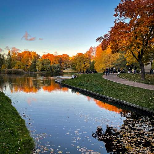 Photo #11161171